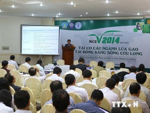 В Кантхо прошёл семинар по реструктуризации рисоводства в районах дельты реки Меконг - ảnh 1